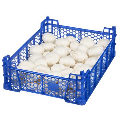 Champignons