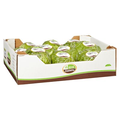 Eisbergsalat