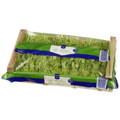 Rucola