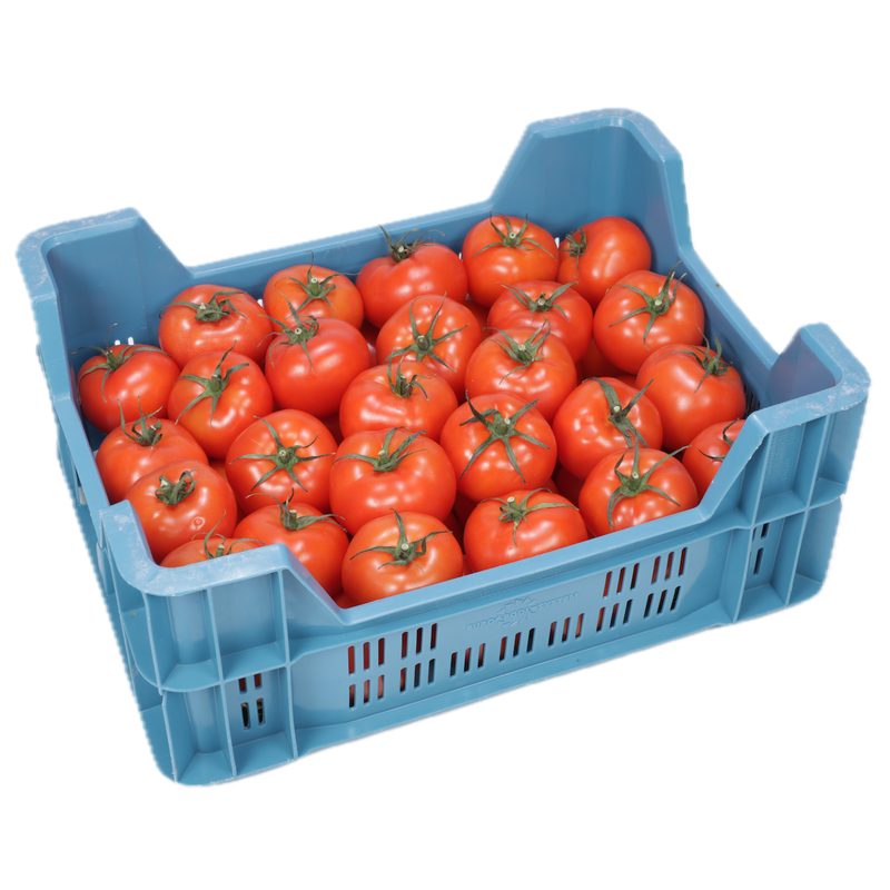 Tomaten
